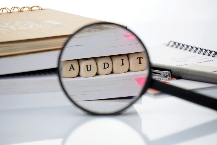 Audit Risks for Pass-Through Entities